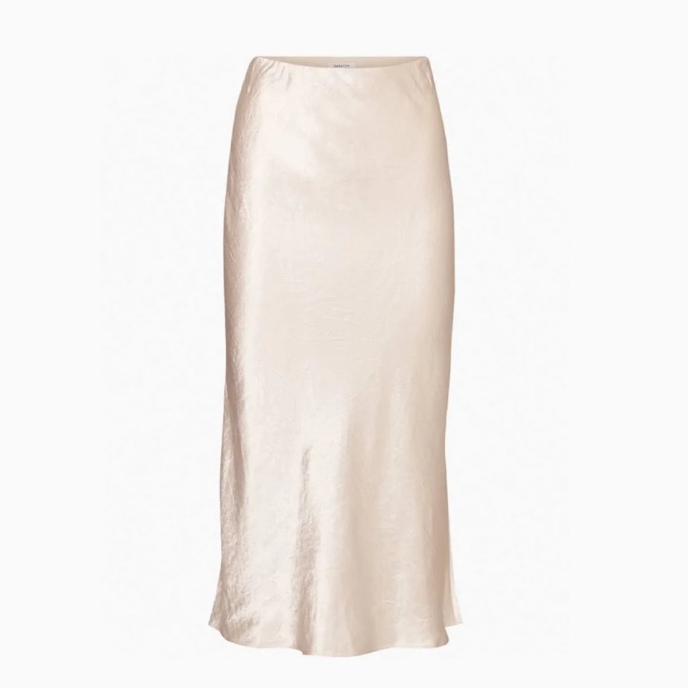 Aritzia Babaton Skirt